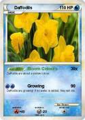 Daffodils