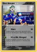 Elect Weegee