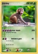 monkey