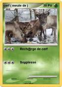 cerf ( meute de