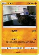 JOEY
