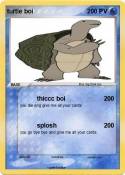 turtle boi