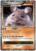 souris