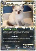 pounce