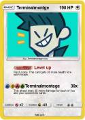 Terminalmontge