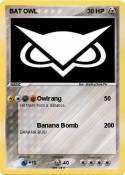 BAT OWL