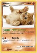Kitten