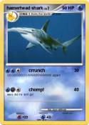 hamerhead shark