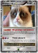 Grumpy cat