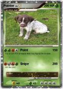 Pointer