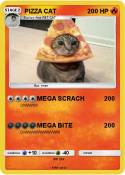 PIZZA CAT