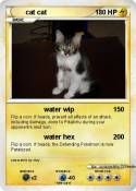 cat cat