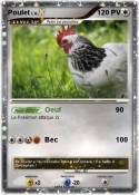 Poulet