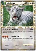bébé tigre