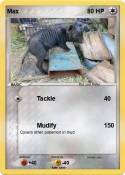 Max
