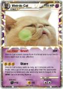 Weirdo Cat