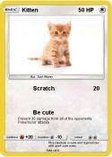 Kitten