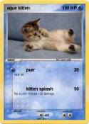 aque kitten