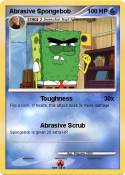 Abrasive Sponge