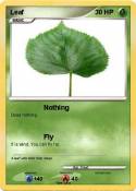 Leaf