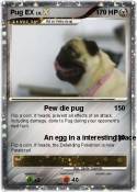 Pug EX