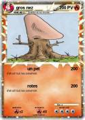 gros nez