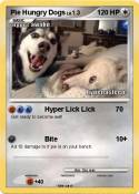 Pie Hungry Dogs