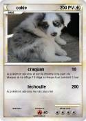cokie