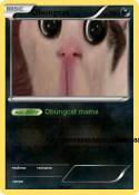 Obungcat