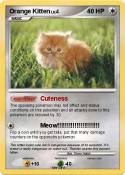 Orange Kitten