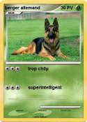 berger allemand