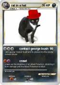 rat in a hat
