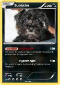Buddychu