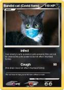 Bandid cat