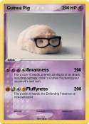 Guinea Pig
