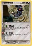 DESTROYER