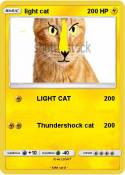 light cat