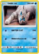 DARK cat