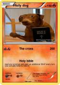 Holy dog