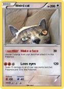 Weird cat