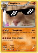Thug life cat