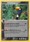 toucan