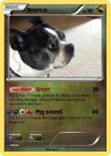 Snortus