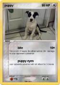 puppy