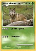 berger allemand