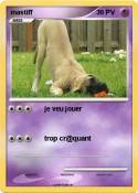 mastiff