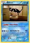 Evil Cat
