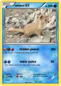 weasel EX