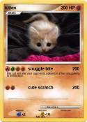 kitten