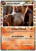 furious hamster